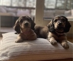 Small #4 Breeder Profile image