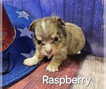 Small #10 Breeder Profile image