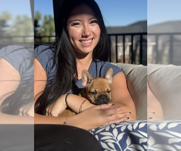 Medium Photo #3  Breeder Profile in AURORA, CO, USA