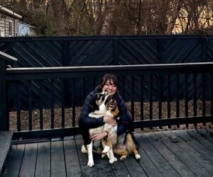 Australian Shepherd Dog Breeder near HENRICO, VA, USA