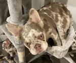 Small #7 Breeder Profile image