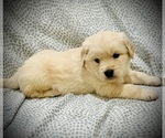 Small #3 Breeder Profile image