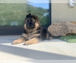 Small #178 Breeder Profile image