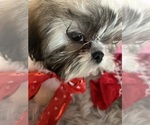 Small #16 Breeder Profile image