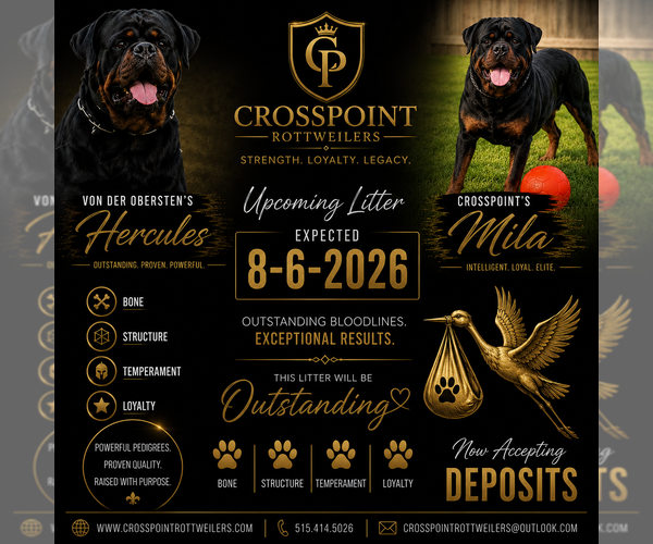 Medium Photo #10  Breeder Profile in ANKENY, IA, USA
