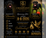 Small #9 Breeder Profile image