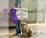 Small #1 Breeder Profile image