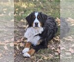 Small #3 Breeder Profile image