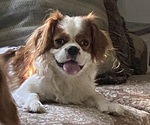 Small #1 Breeder Profile image