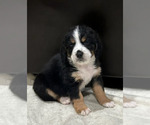 Small #9 Breeder Profile image