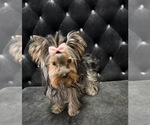 Small #28 Breeder Profile image