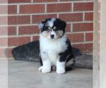 Small #4 Breeder Profile image