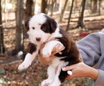 Small #7 Breeder Profile image
