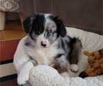 Small #11 Breeder Profile image