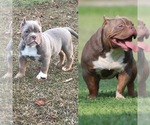 Small #9 Breeder Profile image