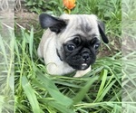 Small #35 Breeder Profile image
