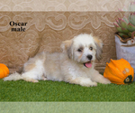 Small #1 Breeder Profile image