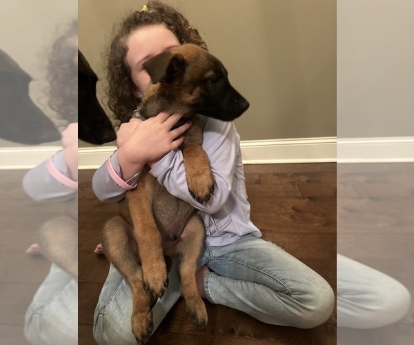 Medium Photo #1  Breeder Profile in ATHENS, AL, USA