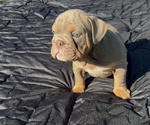 Small #6 Breeder Profile image