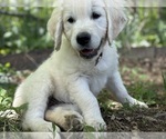 Small #15 Breeder Profile image