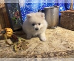 Small #5 Breeder Profile image