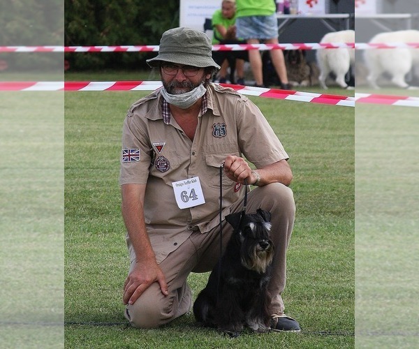 Medium Photo #4  Breeder Profile in Hatvan, Heves, Hungary