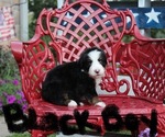 Small #5 Breeder Profile image