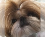 Small #6 Breeder Profile image
