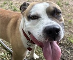 Small #6 Breeder Profile image