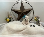 Small #3 Breeder Profile image