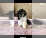 Small #16 Breeder Profile image