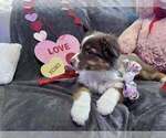 Small #16 Breeder Profile image