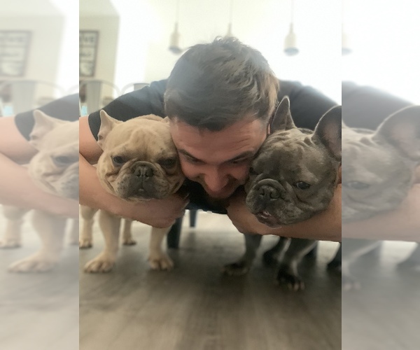 Medium Photo #1  Breeder Profile in HAWAIIAN GARDENS, CA, USA