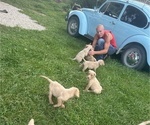Small #8 Breeder Profile image