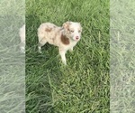 Small #2 Breeder Profile image
