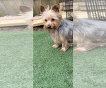 Small #336 Breeder Profile image