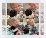 Small #5 Breeder Profile image