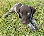 Small #19 Breeder Profile image