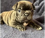 Small #5 Breeder Profile image