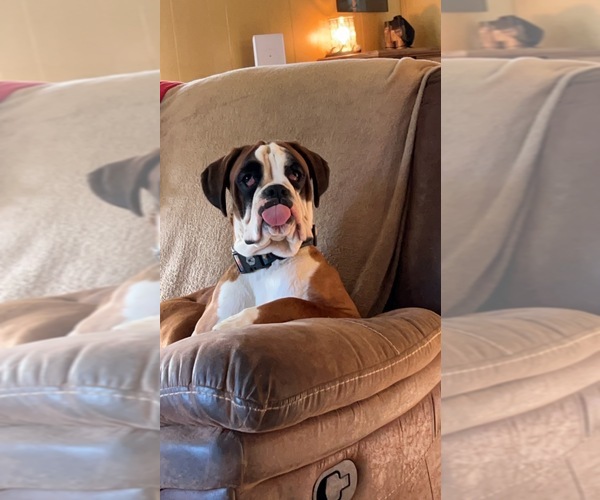 Medium Photo #5  Breeder Profile in INCHELIUM, WA, USA