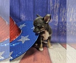 Small #2 Breeder Profile image