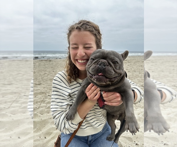 Medium Photo #1  Breeder Profile in SANTA ANA, CA, USA