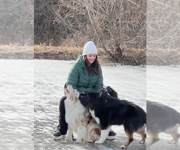 Medium Photo #1  Breeder Profile in KANSAS CITY, MO, USA