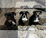 Small #7 Breeder Profile image