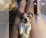 Small #16 Breeder Profile image