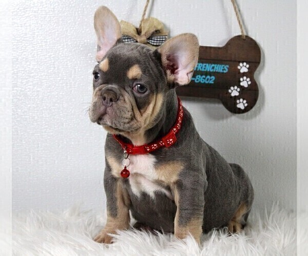 Medium Photo #12  Breeder Profile in FRESNO, OH, USA