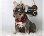 Small #11 Breeder Profile image