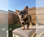 Small #3 Breeder Profile image
