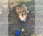 Small #2 Breeder Profile image