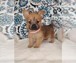 Small Photo #1  Breeder Profile in LEWISBURG, KY, USA